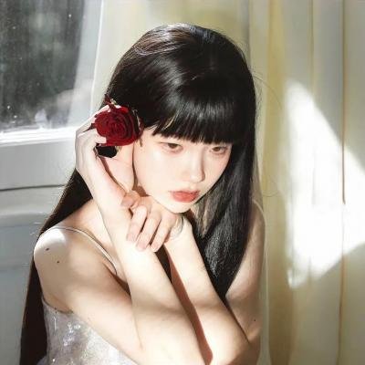 基督山之子